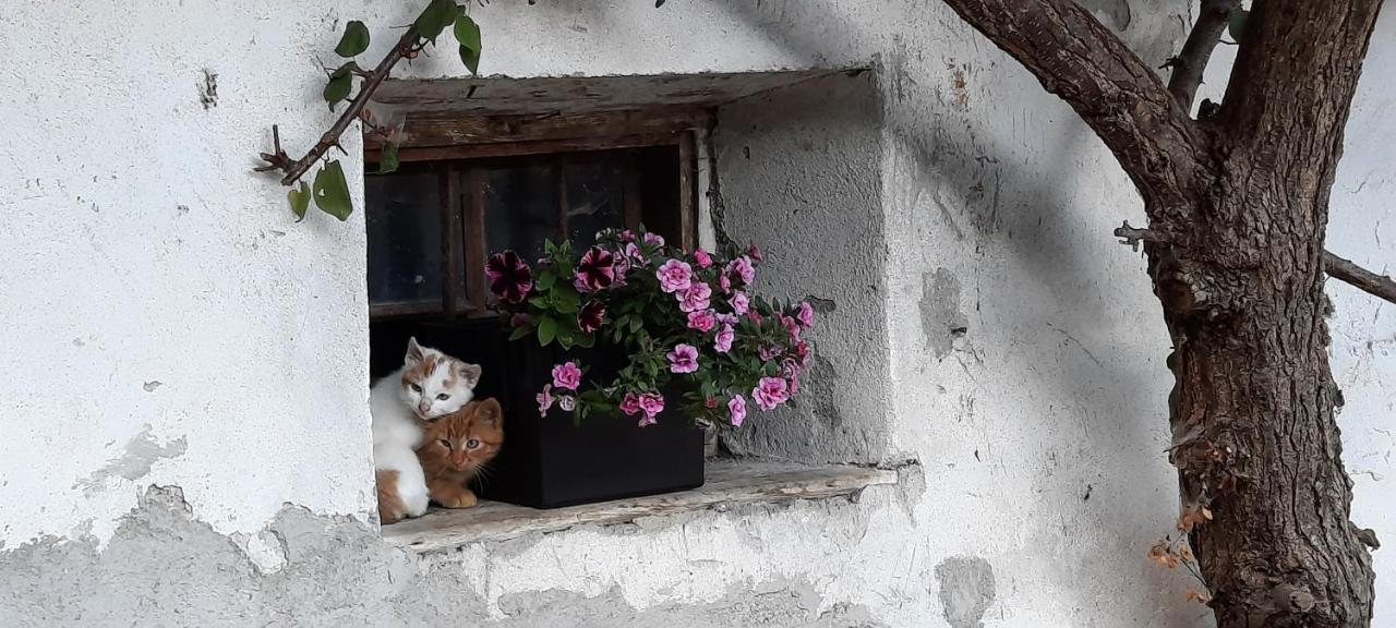 Luech Da Morgnun Villa Al Plan di Mareo Buitenkant foto